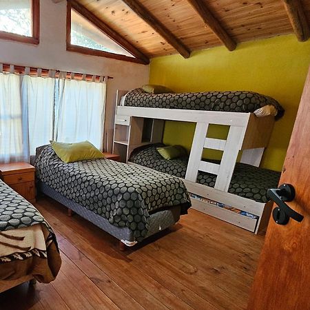 Ensueno Del Alma Βίλα Villa Pehuenia Εξωτερικό φωτογραφία