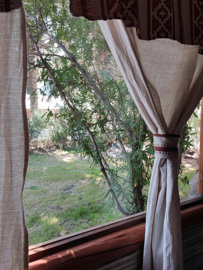 Ensueno Del Alma Βίλα Villa Pehuenia Εξωτερικό φωτογραφία