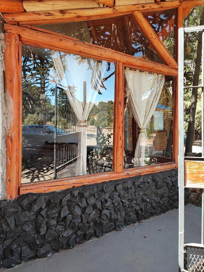 Ensueno Del Alma Βίλα Villa Pehuenia Εξωτερικό φωτογραφία